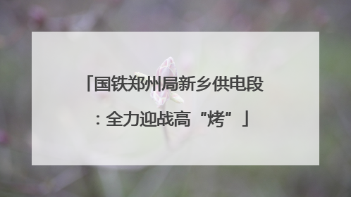 国铁郑州局新乡供电段：全力迎战高“烤”