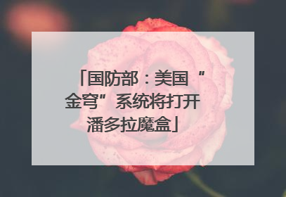 国防部：美国“金穹”系统将打开潘多拉魔盒