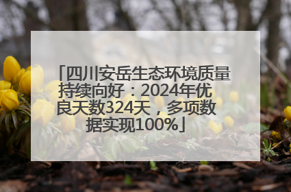四川安岳生态环境质量持续向好：2024年优良天数324天，多项数据实现100%