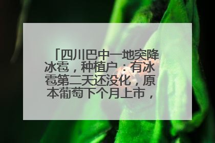 四川巴中一地突降冰雹，种植户：有冰雹第二天还没化，原本葡萄下个月上市，现在全被打落