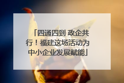 四通四到 政企共行！福建这场活动为中小企业发展赋能