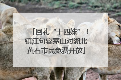 回礼“十四妹”！镇江句容茅山对湖北黄石市民免费开放