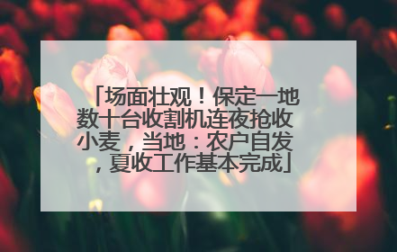 场面壮观！保定一地数十台收割机连夜抢收小麦，当地：农户自发，夏收工作基本完成