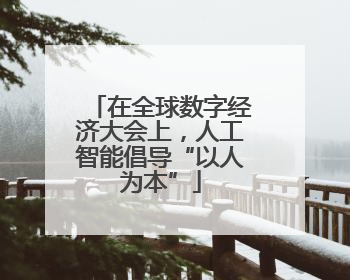 在全球数字经济大会上，人工智能倡导“以人为本”