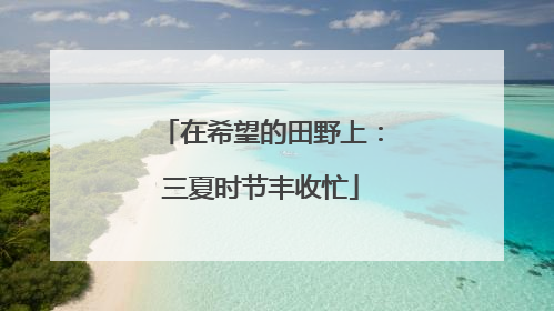 在希望的田野上：三夏时节丰收忙