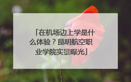 在机场边上学是什么体验？昆明航空职业学院实景曝光