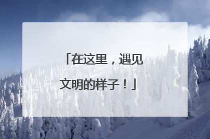 在这里，遇见文明的样子！