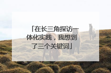 在长三角探访一体化实践，我想到了三个关键词
