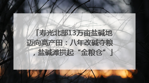 寿光北部13万亩盐碱地迈向高产田：八年改碱夺粮，盐碱滩拱起“金粮仓”