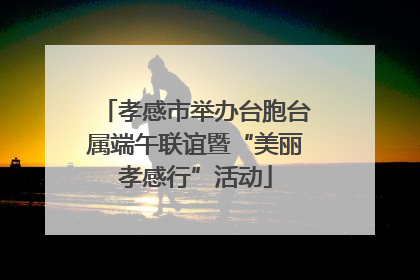 孝感市举办台胞台属端午联谊暨“美丽孝感行”活动