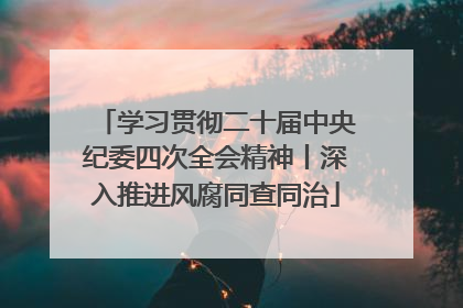 学习贯彻二十届中央纪委四次全会精神丨深入推进风腐同查同治