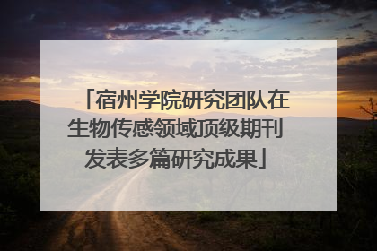 宿州学院研究团队在生物传感领域顶级期刊发表多篇研究成果
