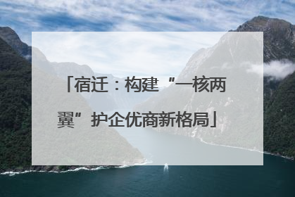 宿迁：构建“一核两翼”护企优商新格局