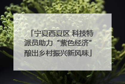 宁夏西夏区 科技特派员助力“紫色经济”酿出乡村振兴新风味