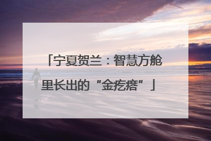 宁夏贺兰：智慧方舱里长出的“金疙瘩”