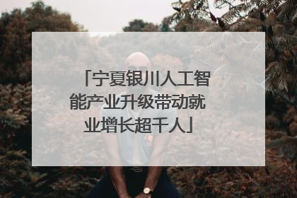 宁夏银川人工智能产业升级带动就业增长超千人