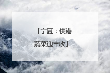 宁夏：供港蔬菜迎丰收
