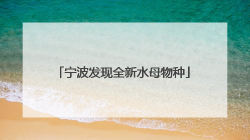 宁波发现全新水母物种
