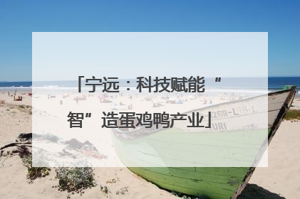 宁远：科技赋能“智”造蛋鸡鸭产业