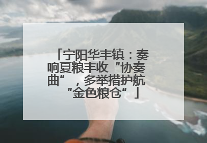 宁阳华丰镇：奏响夏粮丰收“协奏曲”，多举措护航“金色粮仓”