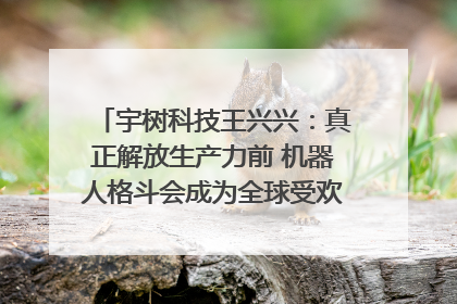 宇树科技王兴兴：真正解放生产力前 机器人格斗会成为全球受欢迎的赛事｜科技观察