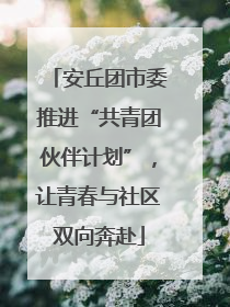 安丘团市委推进“共青团伙伴计划”，让青春与社区双向奔赴