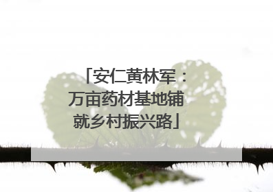 安仁黄林军：万亩药材基地铺就乡村振兴路