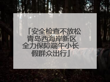 安全检查不放松 青岛西海岸新区全力保障端午小长假群众出行