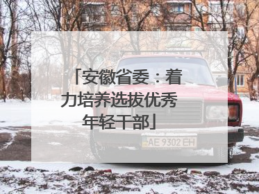 安徽省委：着力培养选拔优秀年轻干部