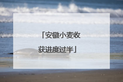 安徽小麦收获进度过半