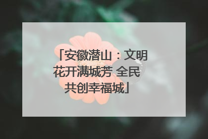 安徽潜山：文明花开满城芳 全民共创幸福城