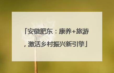 安徽肥东：康养+旅游，激活乡村振兴新引擎