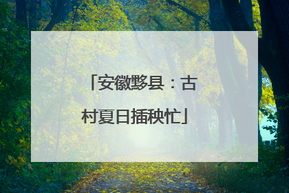 安徽黟县：古村夏日插秧忙