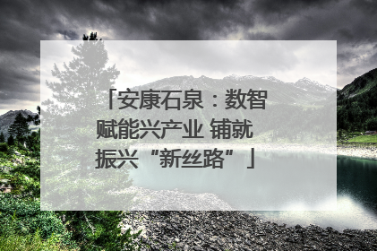 安康石泉：数智赋能兴产业 铺就振兴“新丝路”