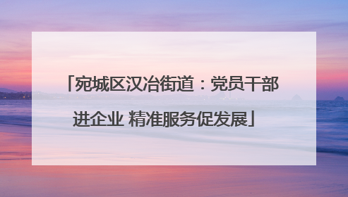 宛城区汉冶街道：党员干部进企业 精准服务促发展