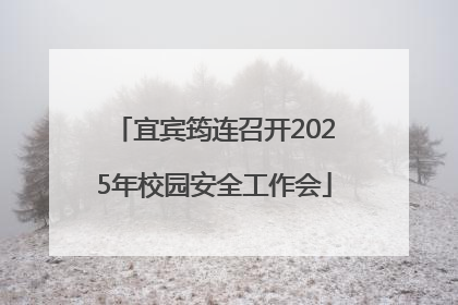 宜宾筠连召开2025年校园安全工作会