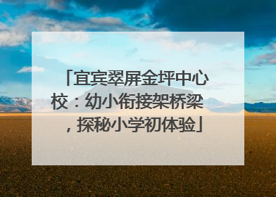 宜宾翠屏金坪中心校：幼小衔接架桥梁，探秘小学初体验