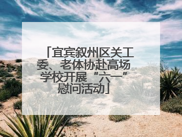 宜宾叙州区关工委、老体协赴高场学校开展“六一”慰问活动