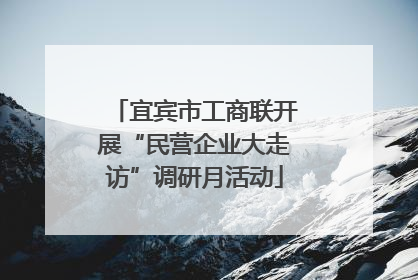 宜宾市工商联开展“民营企业大走访”调研月活动