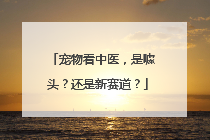 宠物看中医，是噱头？还是新赛道？