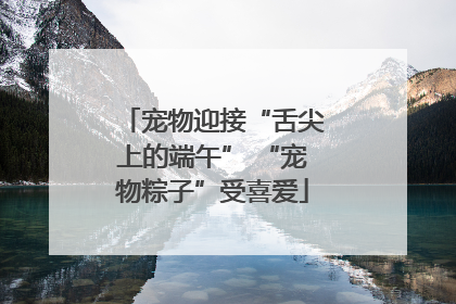宠物迎接“舌尖上的端午” “宠物粽子”受喜爱