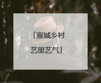 宣城乡村 艺里艺气