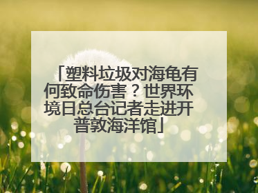 塑料垃圾对海龟有何致命伤害？世界环境日总台记者走进开普敦海洋馆