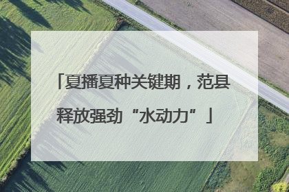夏播夏种关键期，范县释放强劲“水动力”