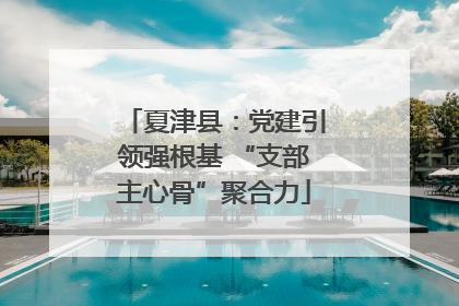 夏津县：党建引领强根基 “支部主心骨”聚合力