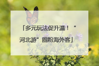 多元玩法促升温！“河北游”圈粉海外客
