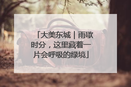 大美东城｜雨歇时分，这里藏着一片会呼吸的绿境