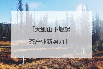 大别山下崛起茶产业新势力