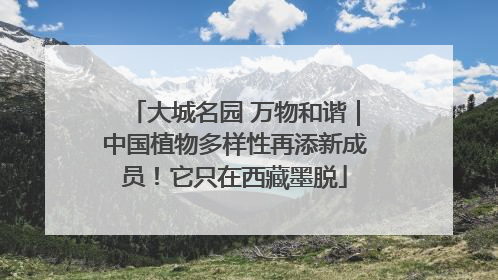 大城名园 万物和谐｜中国植物多样性再添新成员！它只在西藏墨脱