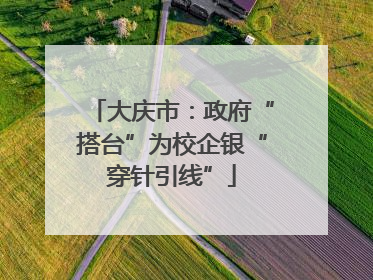 大庆市：政府“搭台”为校企银“穿针引线”